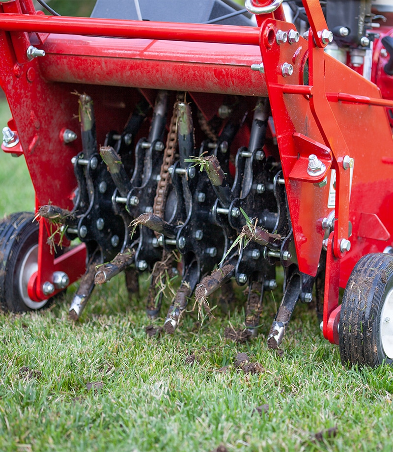 Lawn aeration and overseeding services in Indianapolis
