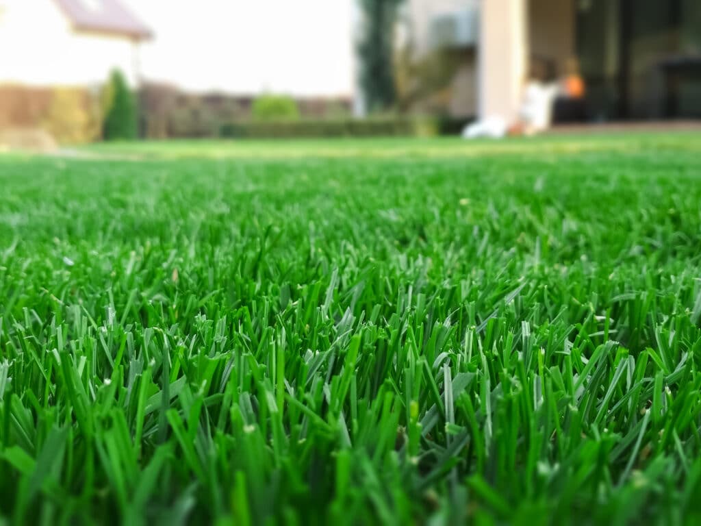 Lawn fertilization and overseeding services in Indianapolis