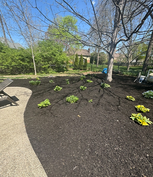 Professional mulch installation services