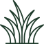 Grass (1)