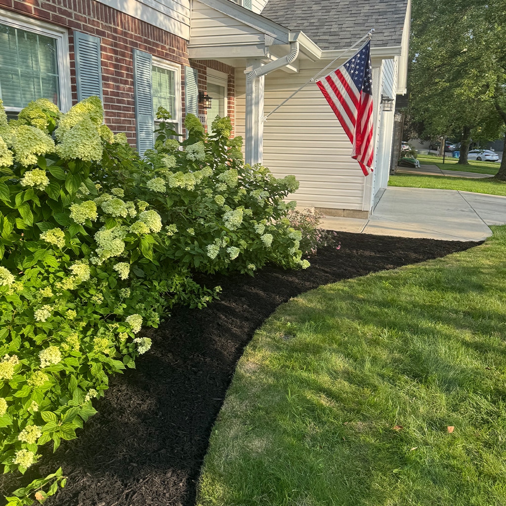 Why choose man and mower