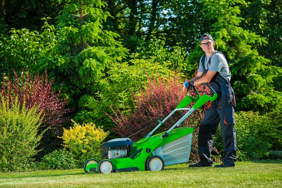 Why Professional Lawn Mowing Makes a Difference